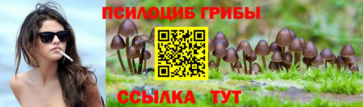 Псилоцибиновые грибы прущие грибы Новокубанск